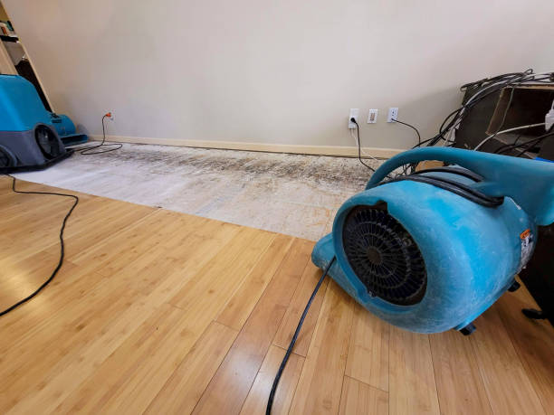 Professional Basement Flood Cleanup technician working in Canby, OR